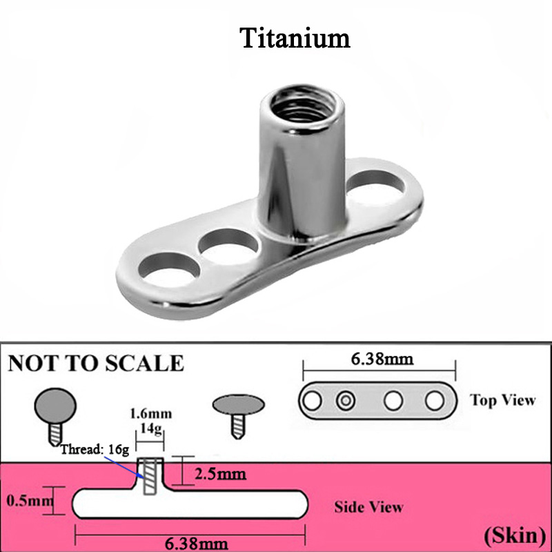 1 stück G23 Titan Dermal Ancho – Body Jewelry Dermal Bewertung und Preis