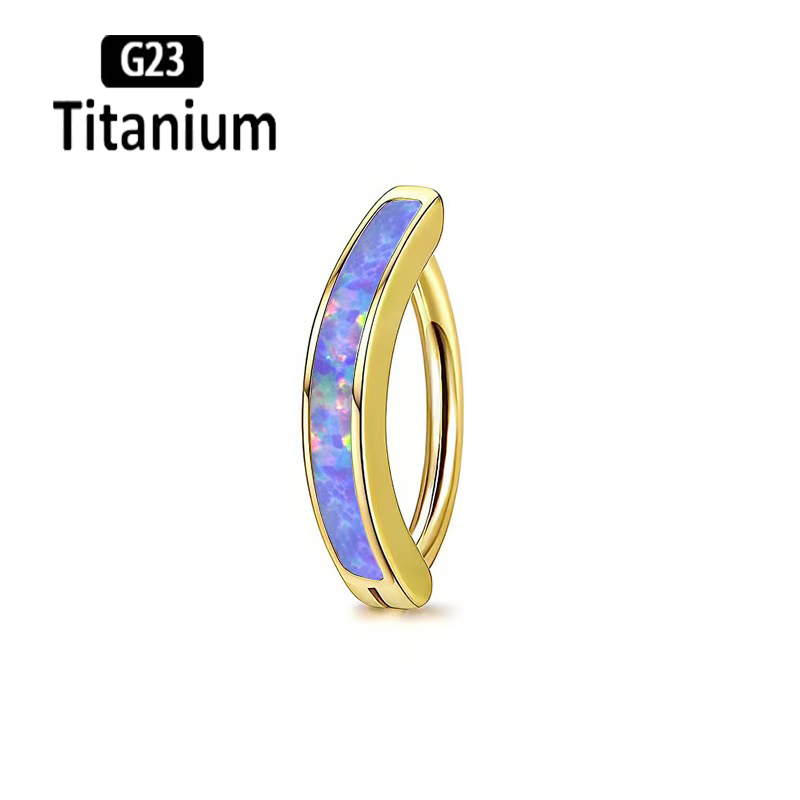 1 STÜCK 14G Implantatqualität  – Body Jewelry Implant Grade Bewertung und Preis