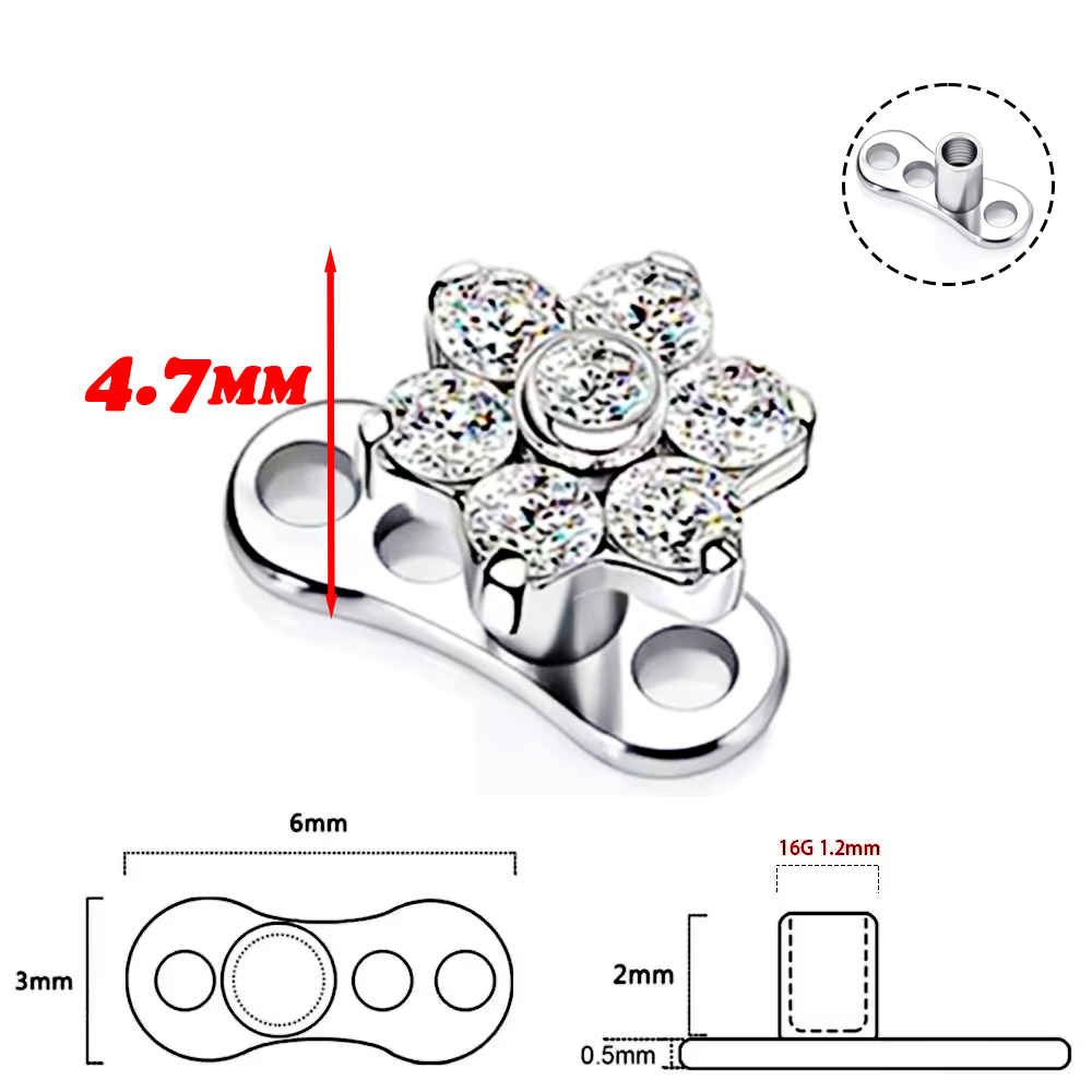 F136 Titanlegierung, hochwerti – Body Jewelry Implant Grade Bewertung und Preis