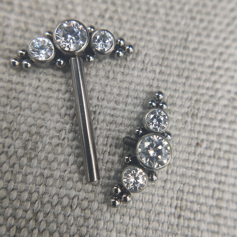 14G Titan in Implantatqualität – Body Jewelry Implant Grade Bewertung und Preis