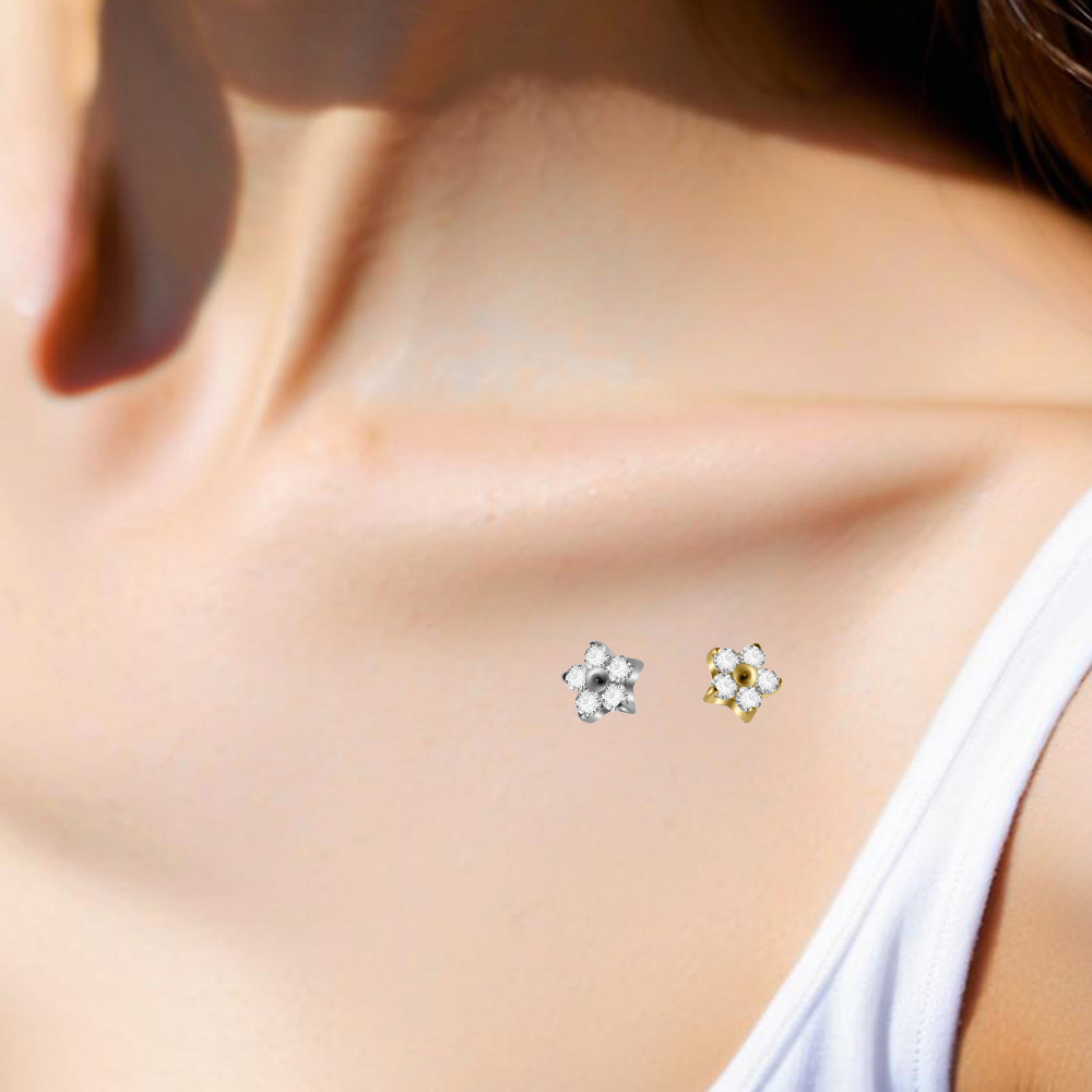 1PC G23 Implantat Titan Dermal – Body Jewelry Dermal Bewertung und Preis